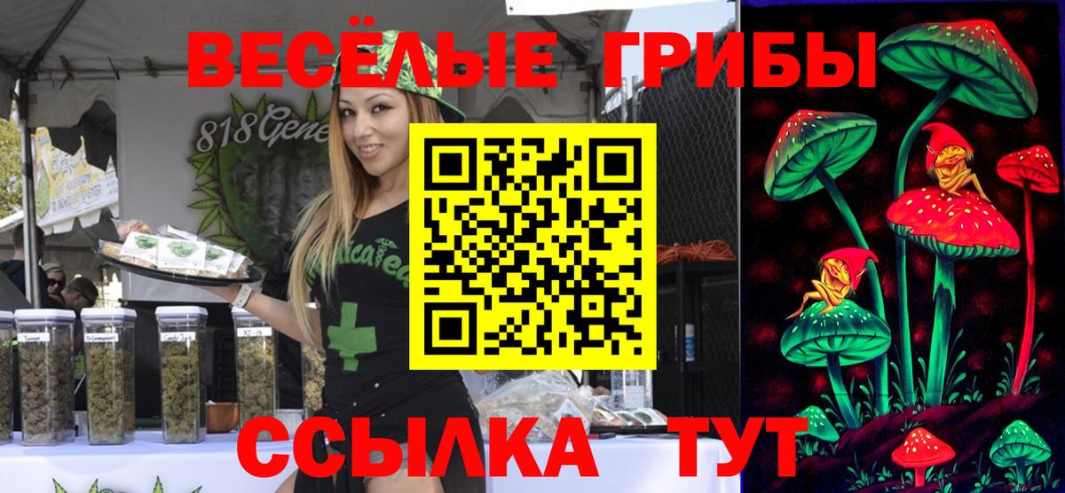 Псилоцибиновые грибы прущие грибы  Вход с VPN  Дмитров 
